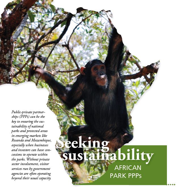 seeking sustainability article with a monkey as a visual
