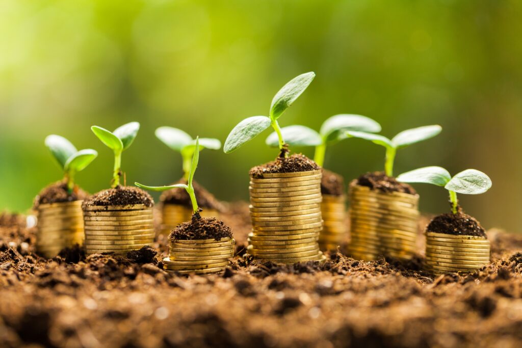 A group of coins that are growing out of the ground.