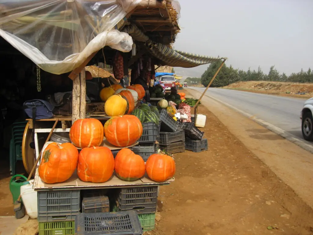 pumpkin and other vegetables and fruits sold at the side of the street