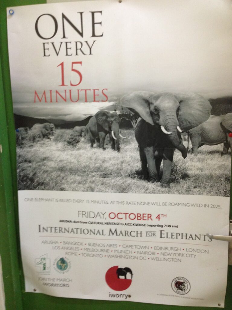 A poster with a herd of elephants
