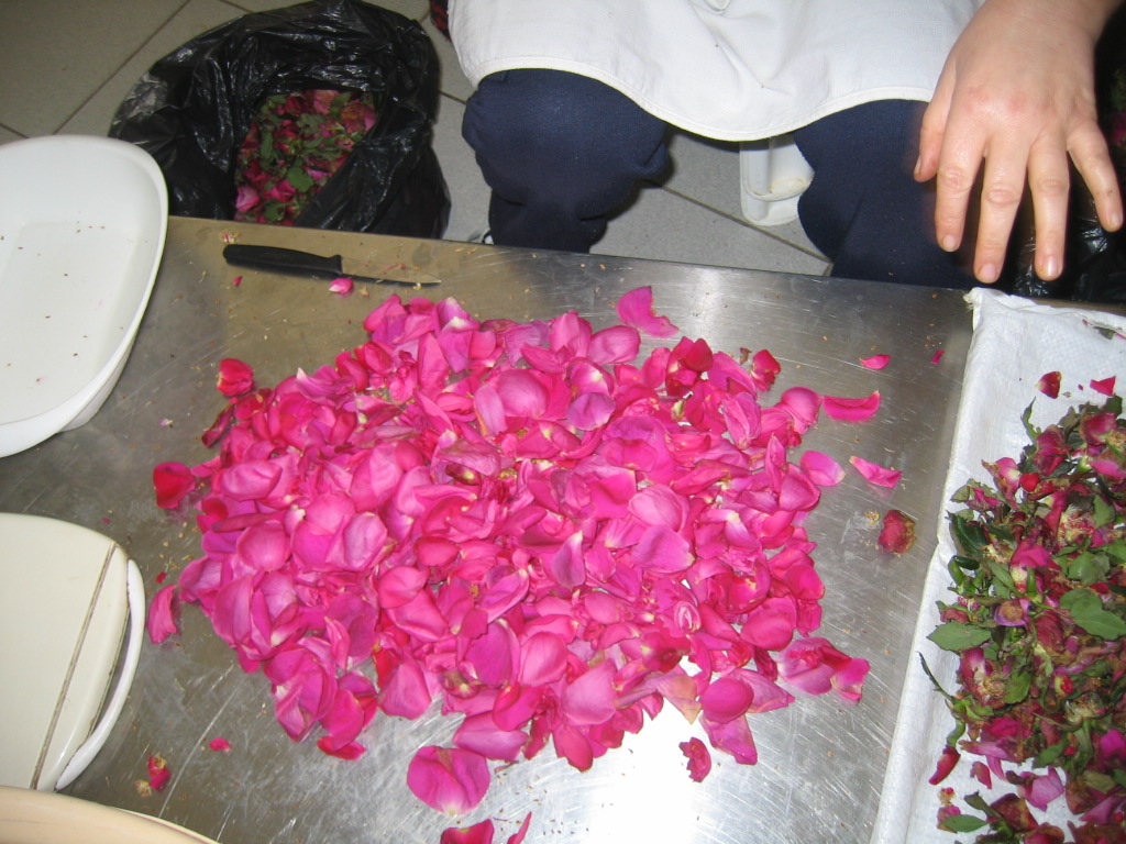 rose petals on a metal kitchen table