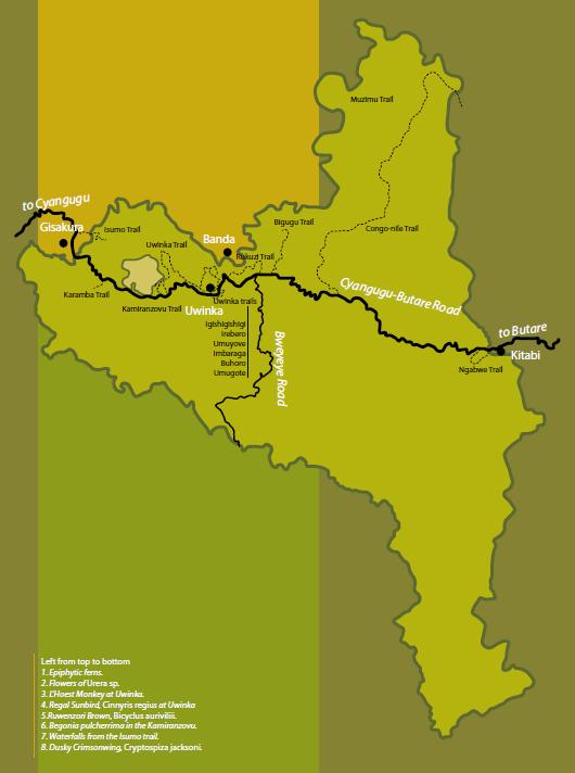 Overall-map-of-Nyungwe