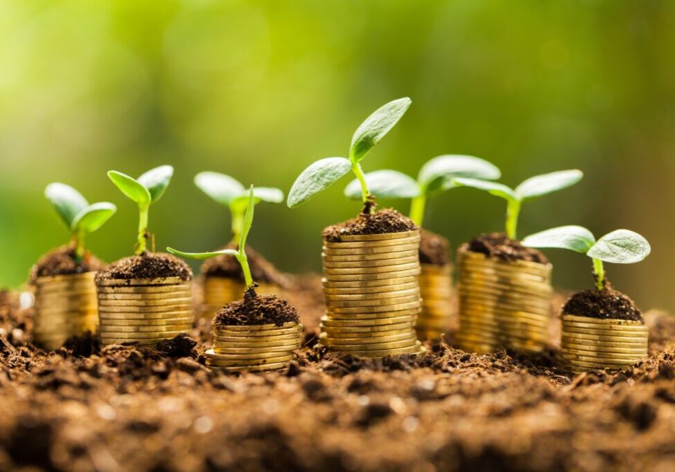 A group of coins that are growing out of the ground.